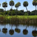 Защитники призывают к сохранению гольф-клуба Bobby Jones во Флориде